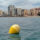 Vinaros is using LORA and Sentilo with a sensorized buoy
